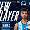 Stefan Galic è un nuovo giocatore della Dai Optical Virtus Molfetta