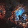 Lo scatto dell'astrofotografo molfettese Mattia Toto diventa virale