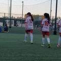  "Futsal on the road " fa tappa a Molfetta: domani Bisceglie e Modugno ospiti della Nox giovanile