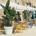 Opa Opa on the Beach, a Giovinazzo divertimento fa rima con sostenibilità