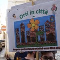  "Orti in città ", i doni della terra alla Caritas diocesana