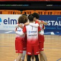 Sfida al vertice al PalaPoli tra Pallavolo Molfetta e New Volley Gioia