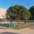 Il Rotary di Molfetta realizzerà un “Giardino Alzheimer” nel Parco dei Nonni