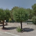 Aperto a Molfetta il parco “Don Tonino Bello” per bambini e ragazzi con disabilità