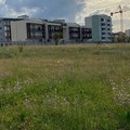 Riqualificare il parco in via Einaudi: l'idea di alcuni studenti di Molfetta