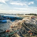 Scatta il fermo pesca nell'Adriatico. Coldiretti: «Occhio all'etichetta»