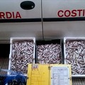 Prodotti ittici sequestrati dalla Guardia costiera all’interno del mercato ittico