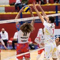 Volley, la Pallavolo Molfetta inserita nel girone E di Serie B