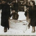 Alla ricerca dei familiari di tre molfettesi scomparsi dopo l’8 settembre 1945