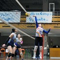 Dinamo Molfetta ancora ko nei play-off di volley in Serie C