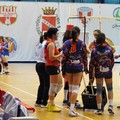 Dinamo Molfetta oggi in campo contro l'Amatori Volley Bari
