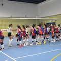 Dinamo Molfetta: per la femminile ko casalingo