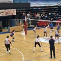 La Dinamo Molfetta gioca alla pari contro l’Amatori Volley Bari ma è costretta a cedere per 0-3