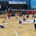 Serie C, la Dinamo Molfetta cade in casa contro l'ASEM Volley Bari