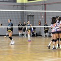Serie C, la Dinamo Molfetta batte la Nelly Volley 3-0