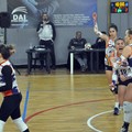 La Dinamo Molfetta impegnata in trasferta contro la Polis Volley Corato
