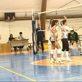 La Dinamo Molfetta torna al Pala Poli per sfidare l’ASEM Volley Bari