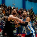 Serie B interregionale, torna in campo la Virtus Basket Molfetta