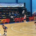 Serie C, stasera la Dinamo Molfetta ospita l'Amatori Volley Bari