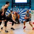 Play-In Gold: la Virtus Basket Molfetta in campo contro Reggio Calabria per riprendere la corsa