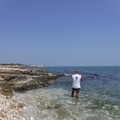 Per Goletta Verde «entro i limiti di legge» i valori dell'acqua di mare a Torre Calderina