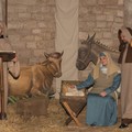 Un viaggio tra storia e tradizione: il Presepe Vivente di Greccio a Molfetta - LE FOTO