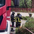 Rami caduti dagli alberi all'ospedale  "don Tonino Bello " di Molfetta