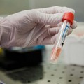 Coronavirus, boom di contagi in Puglia: +117 nelle ultime 24 ore