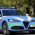 Auto rubate (anche a Molfetta), smontate e riciclate, 12 fermi