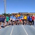 Campionati Regionali Master di Società: successo a Molfetta