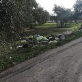 Rifiuti abbandonati in città e nell'agro. Mai debellato il fenomeno a Molfetta