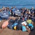 Raccolti 150 chili di rifiuti dalla spiaggia  "La Bussola " di Molfetta