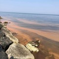 Dalla Prima alla Terza Cala mare rosso: inquinamento o effetto ancora di un'alga?