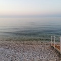 Sulle spiagge di Molfetta tornano le pedane per i diversamente abili