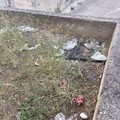 Rifiuti a Molfetta: la segnalazione di un cittadino dal parco di via Gorlitz