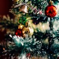  "Christmas Emotions 2024 " a Molfetta: primo incontro tra Comune e associazioni