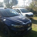 Recuperate due auto rubate. Una è stata ritrovata cannibalizzata