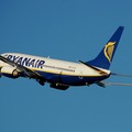 Metti un molfettese, un volo Ryanair ed una fisarmonica...