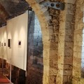 Da oggi nella Sala dei Templari la mostra  "SalviAmo il mare "