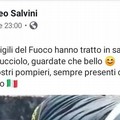 Salvini si complimenta con i Vigili del Fuoco di Molfetta per il salvataggio del cucciolo Fire