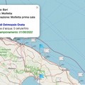 Ritorna l'estate, riprende il monitoraggio dell'alga tossica da parte di Arpa Puglia