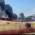 L'asta per Miragica ancora deserta. È la quarta volta consecutiva