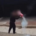 Vandalismo all'anfiteatro di Ponente: svuota un estintore e lo lancia sul palco