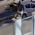 Cani randagi aggressivi a Molfetta: smontano il paraurti un'auto per attaccare un gatto