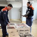 Pesca illegale al largo di Molfetta: sanzionati in due