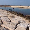 R.A.D.I.C.I.: «Le scelte sul futuro della nostra Costa lasciamole al nuovo Sindaco»