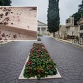 Cimitero comunale, al via interventi di falconeria per contrastare i volatili molesti