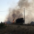 Sterpaglie in fiamme sul ponte di via Ruvo. Sul posto Vigili del Fuoco