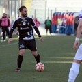 Molfetta Calcio alla prova Picerno, imbattuto da tre turni