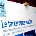 Le attività del Centro di Recupero WWF Molfetta in una mostra su Fregata Maestrale